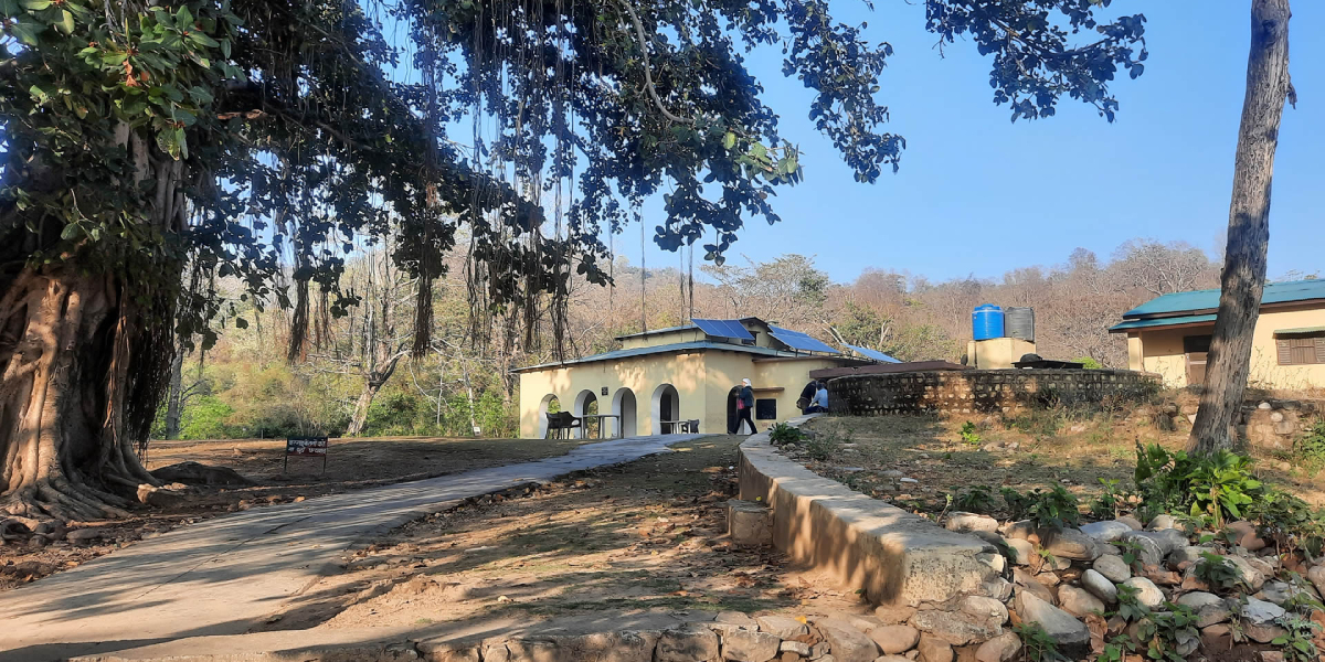 Jhirna Forest Zone In Jim Corbett National Park